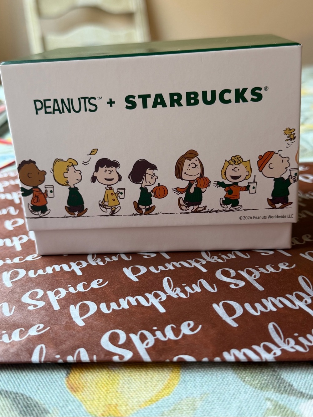 ☕️ PEANUTS x STARBUCKS EMPTY BOX ☕️ NWT ☕️